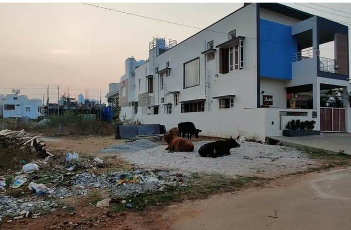 2400 Sqft East Face Residential Site Sale Dattagalli, Mysore