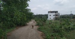 1200 Sqft West Face Residential Sites Sale Srirampura, Mysore