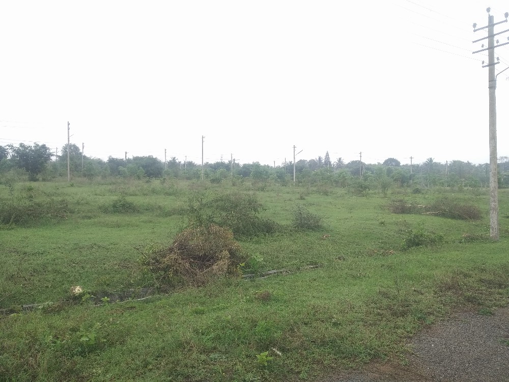 2400 Sqft East Face Residential Site Sale Brahmins Layout, Mysore