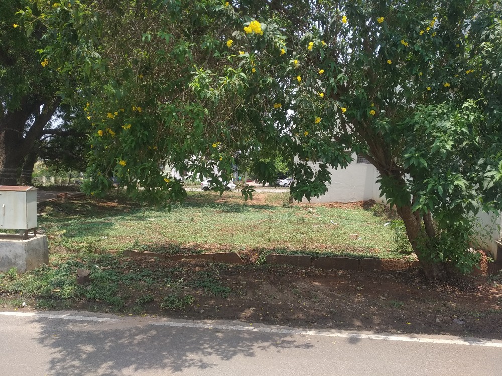 1200 Sqft North Face Residential Site Sale Dattagalli, Mysore