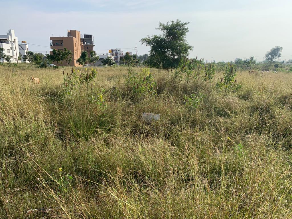 2600 Sqft North Face Residential Site Sale Sale Police Layout, Mysore