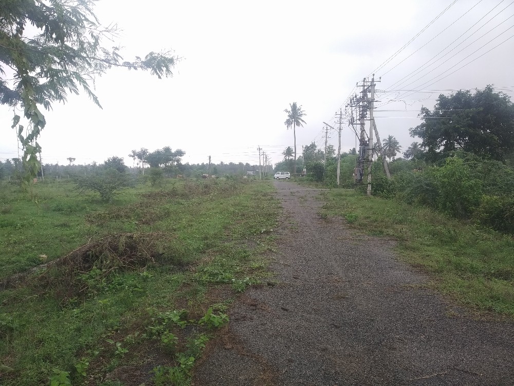 2400 Sqft East Face Residential Site Sale Brahmins Layout, Mysore