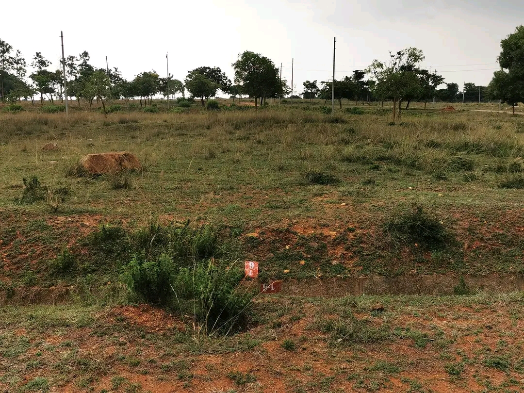 2400 Sqft East Face Residential Site Sale Paramanandasagar Layout, Mysore