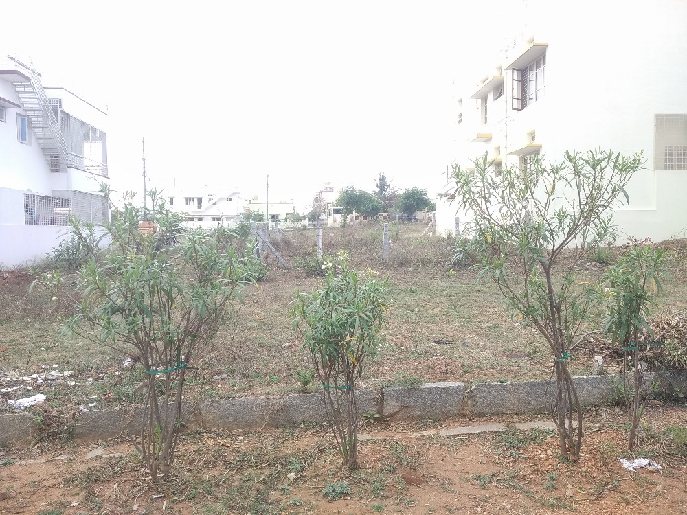 1200 Sqft South Face Residential Site Sale Bogadi, Mysore