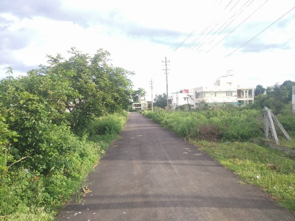 1500 Sqft North East Corner Residential Site Sale University Layout, Mysore