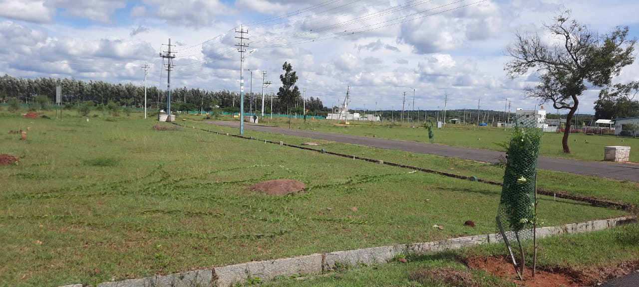 2600 Sqft East Face Residential Site Sale RT Nagar, Mysore