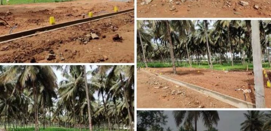 800 Sqft Residential  Site Sale Dattagalli, Mysore