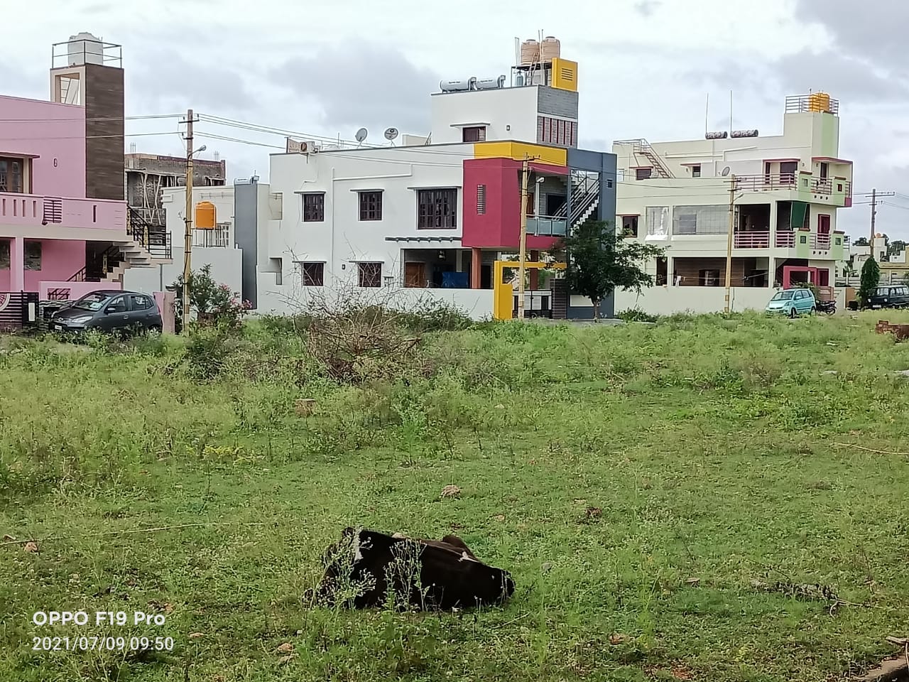 1750 Sqft Residential Site Sale Bogadi, Mysore