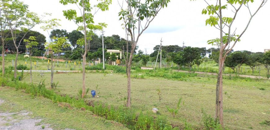 1200 Sqft East Face Residential Site Sale HD Kote Road, Mysore