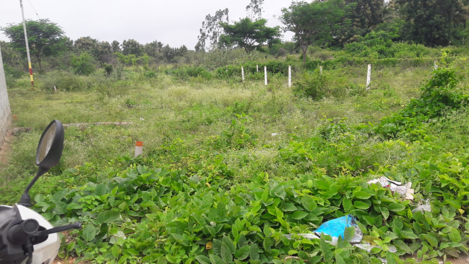 1200 Sqft East Face Residential Site Sale Vasanth Nagar, Mysore