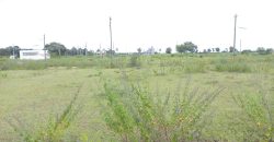 1200 Sqft West Face Residential Site Sale HD Kote Road, Mysore