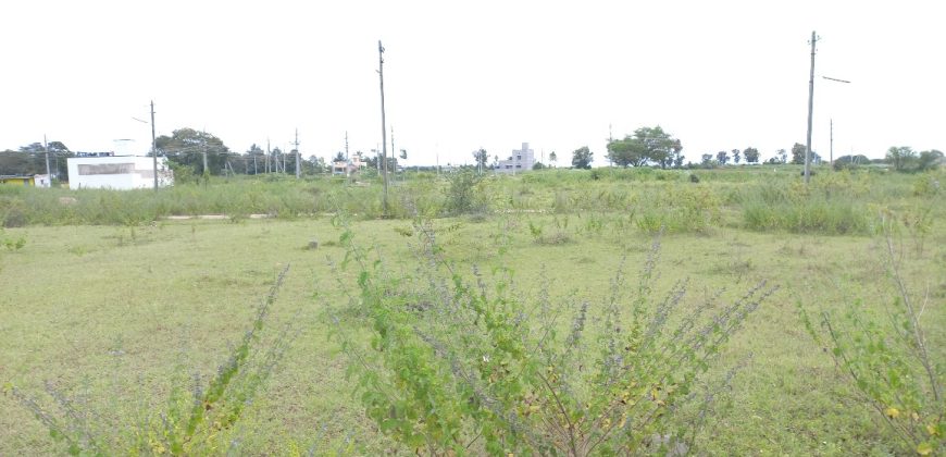 1200 Sqft West Face Residential Site Sale HD Kote Road, Mysore