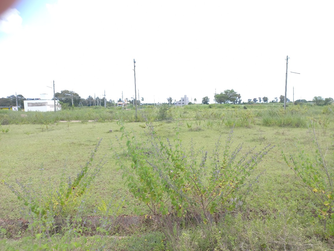 1200 Sqft West Face Residential Site Sale HD Kote Road, Mysore