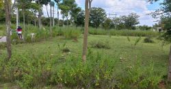 2400 Sqft North Face Residential Site Sale Hunsur Road, Mysore