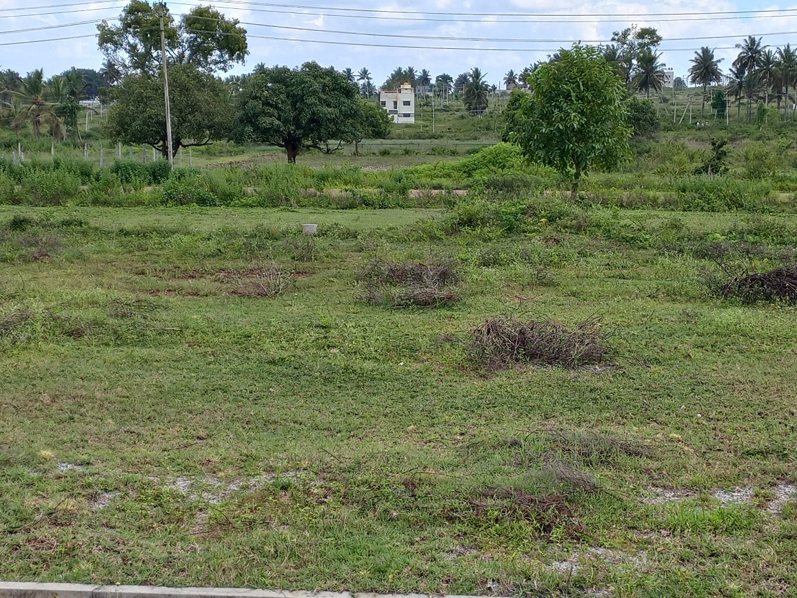 1200 Sqft East Face Residential Site Sale Srirampura, Mysore