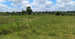 4.32 Acre Land Sale Kenchalgudu, Mysore