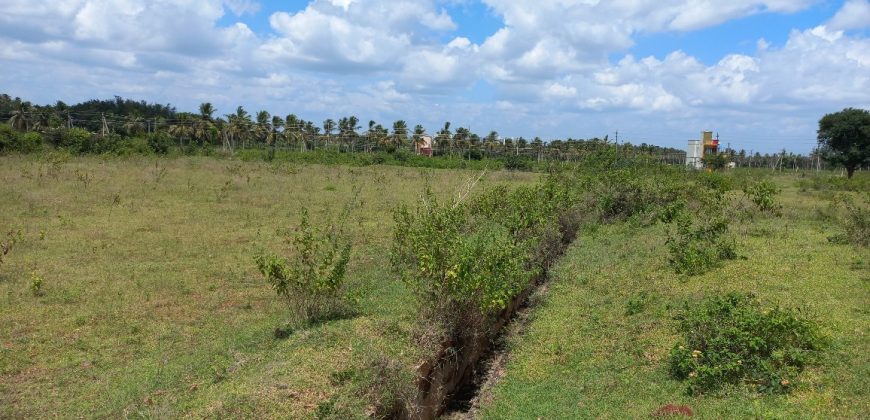 4.32 Acre Land Sale Kenchalgudu, Mysore