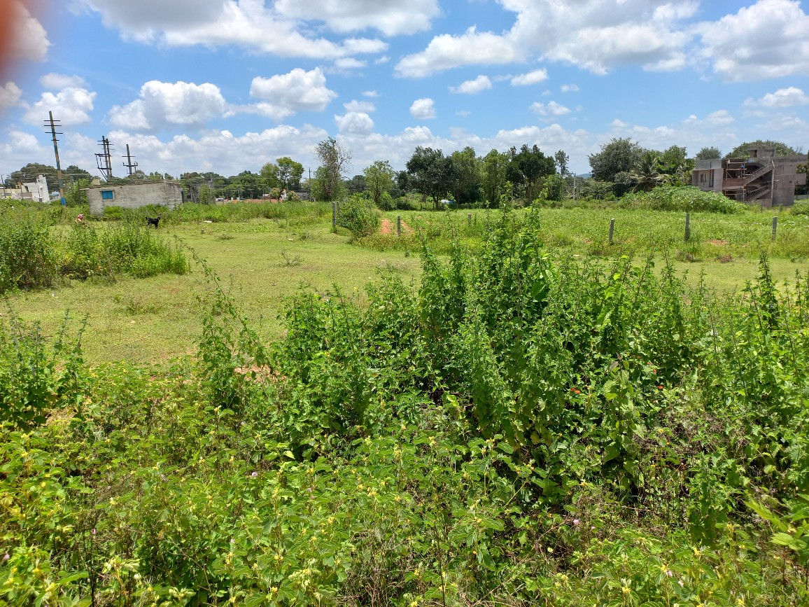 4.32 Acre Land Sale Kenchalgudu, Mysore