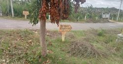 1200 Sqft South Face Residential Site Sale TN Pura Road, Mysore