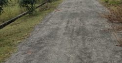 1200 Sqft South Face Residential Site Sale TN Pura Road, Mysore