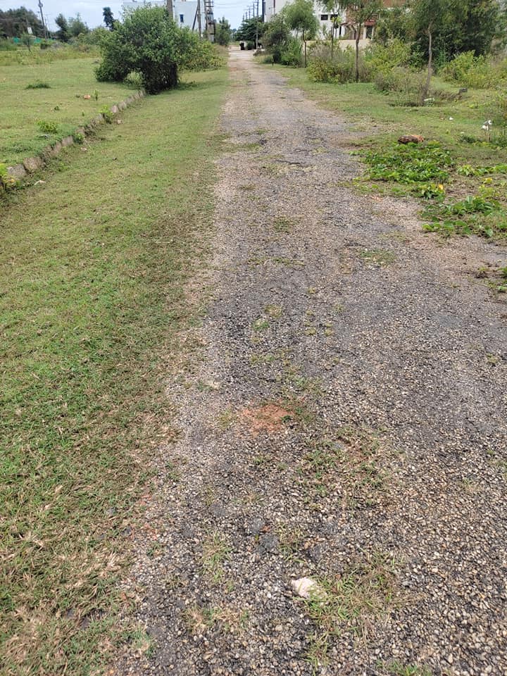 2400 Sqft South Face Residential Site Sale Bank Employers Layout, Mysore