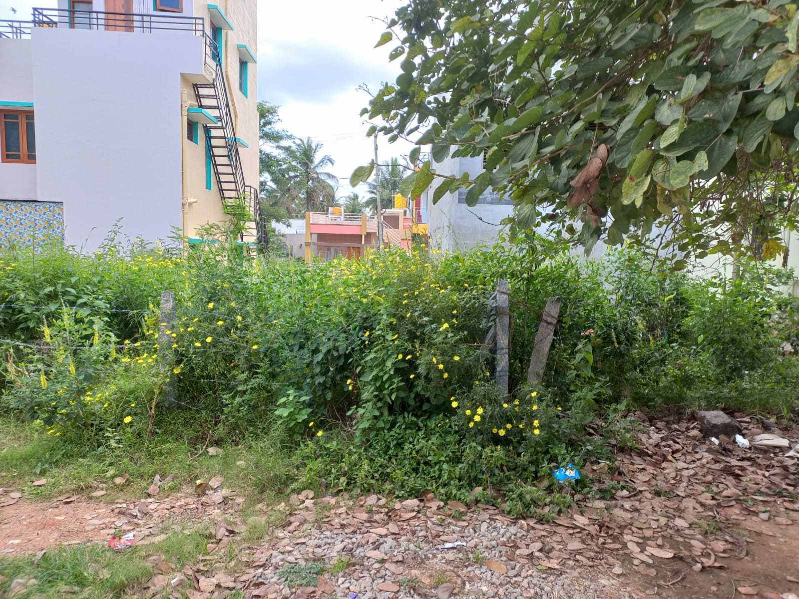 600 Sqft North Face Residential Site Sale Vijayanagar, Mysore