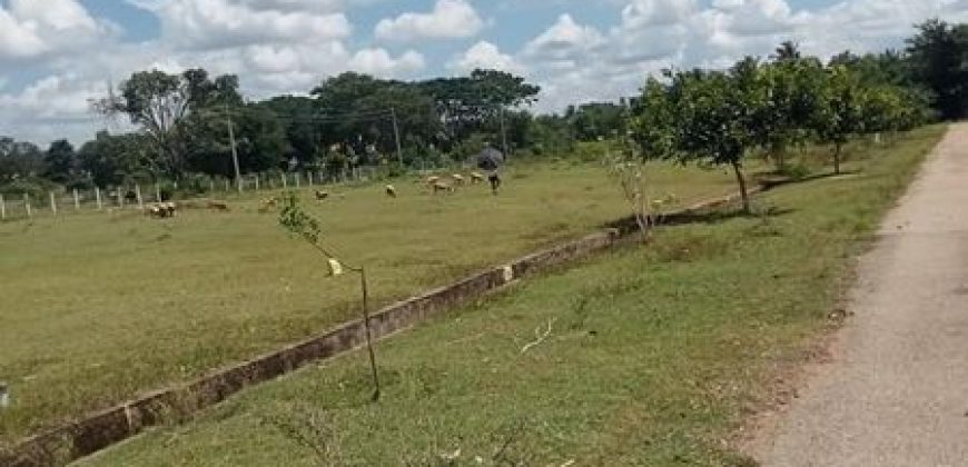 4000 Sqft Residential Site Sale Bannur Road, Mysore