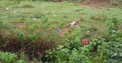 1200 Sqft North Face Residential Site Sale Bogadi, Mysore