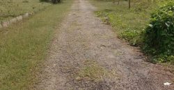 2400 Sqft South Face Residential Site Sale Srirampura, Mysore