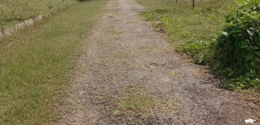 2400 Sqft South Face Residential Site Sale Srirampura, Mysore