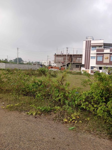 1200 Sqft East Face Residential Site Sale Srirampura, Mysore