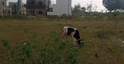 1200 Sqft East Face Residential Site Sale Srirampura, Mysore