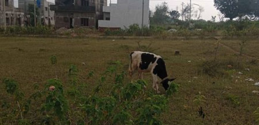 1200 Sqft East Face Residential Site Sale Srirampura, Mysore