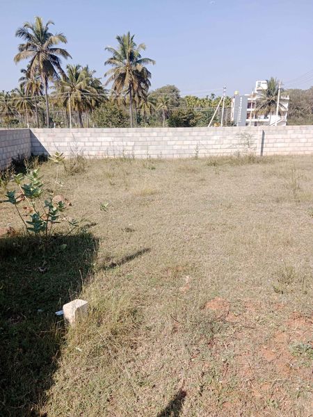 2400 Sqft East Face Residential Site Sale Srirampura, Mysore