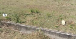 1200 Sfqt East Face Residential Site Sale  Bogadi,  Mysore