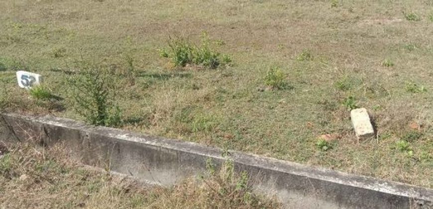 1200 Sfqt East Face Residential Site Sale  Bogadi,  Mysore