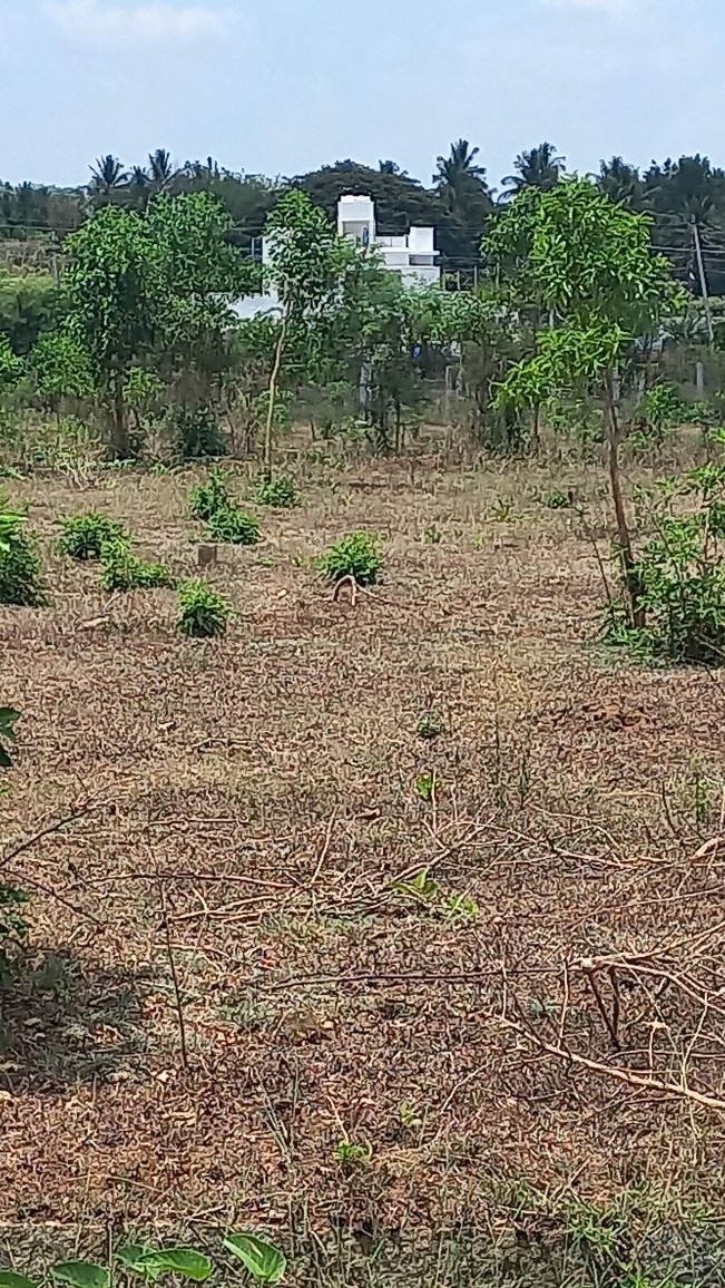 1200 Sqft South  Face Residential Site Sale Srirampura, Mysore