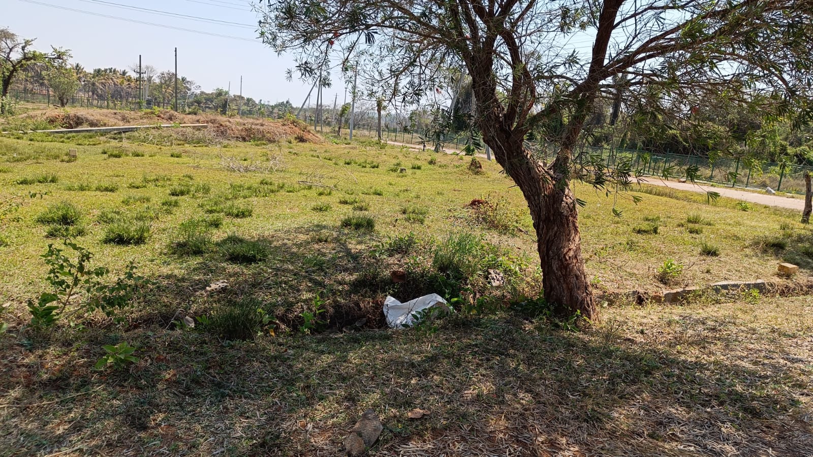 1200 Sqft West Face Residential Site Sale Sapthamathrukha Layout, Mysore