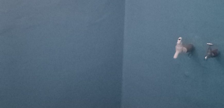 1400 Sqft West Face Residential Old House Sale Ramakrishna Nagar, Mysore