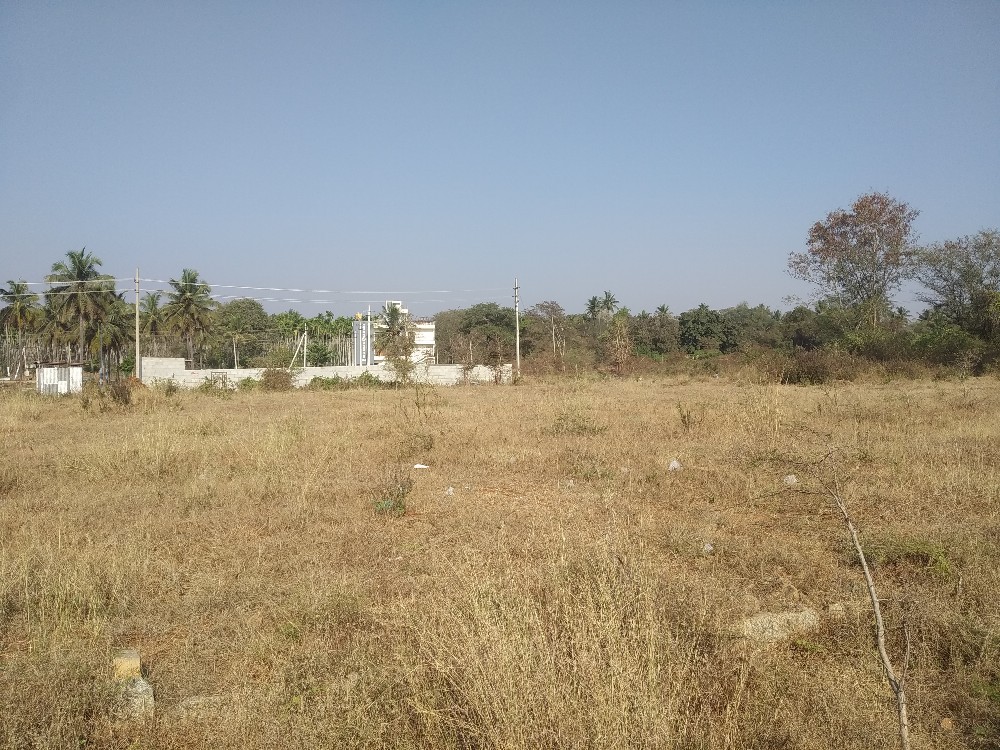 4000 Sqft West Face Residential Site Sale Anand Sagar Layout, Mysore
