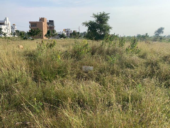 2600 Sqft North Face Residential Site Sale Police Layout, Mysore