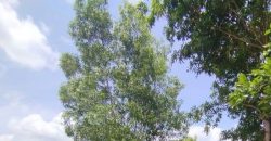 2580 Sqft East Face Residential Site Sale JP Nagar, Mysore