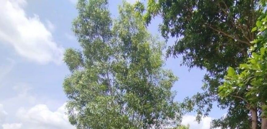 2580 Sqft East Face Residential Site Sale JP Nagar, Mysore