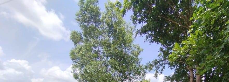 2580 Sqft East Face Residential Site Sale JP Nagar, Mysore