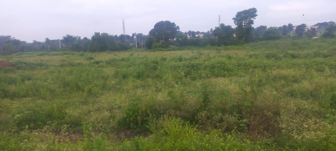 1560 Sqft East Face Residential Site Sale Kenchalgudu, Mysore