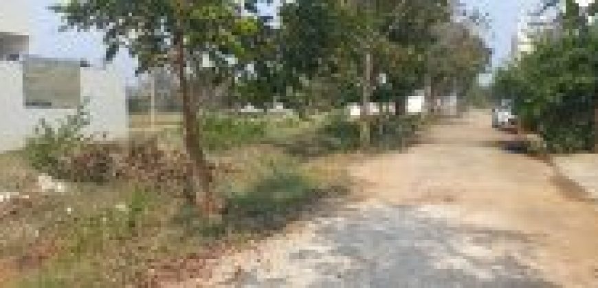 1200 Sqft Plot Sale Bogadi Road