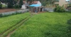 800 Sqft North West Corner Residential Site Sale Ilavala, Mysore