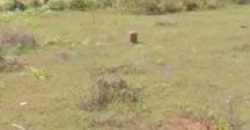 600 Sqft North Face Residential Site Sale University Layout, Mysore