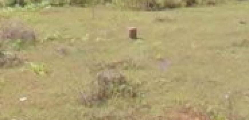 600 Sqft North Face Residential Site Sale University Layout, Mysore