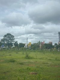 2400 Sqft West Face Residential Site Sale University Layout, Mysore